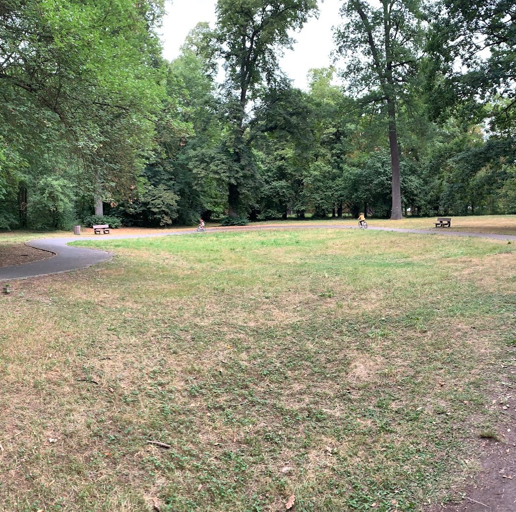 Parc de la charmeraie 2